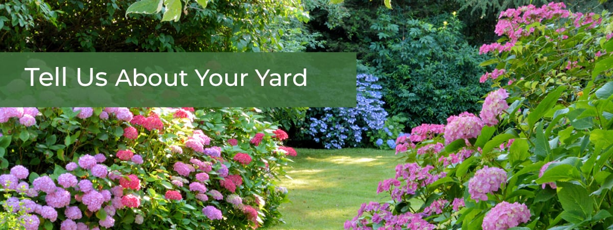 RQ_Tell_Us-About_Your_Yard_Banner